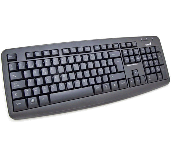 Teclado Genius Kb-110x Ps2 Negro